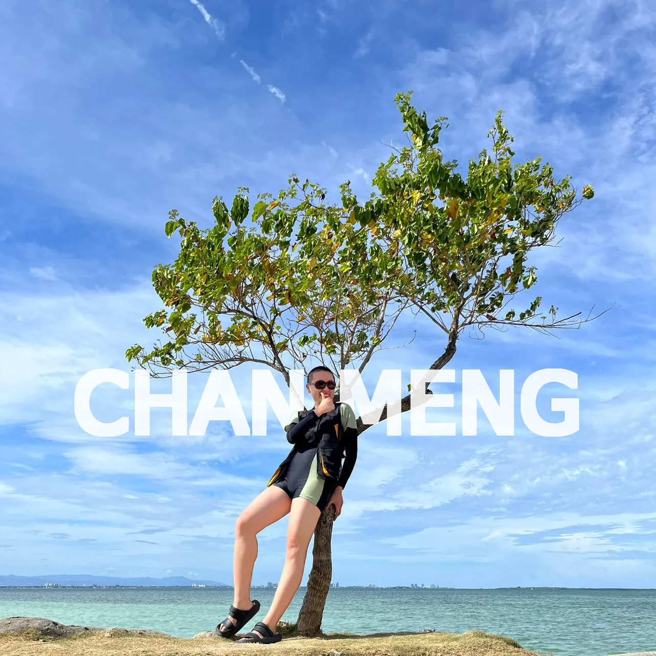 Chan Meng, Senior AI/ML Infrastructure and Full-Stack Engineer, Gavigo / Sanicle